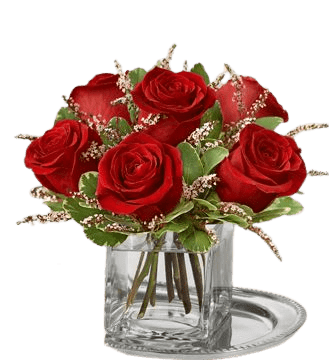 Rose_Romance-removebg-preview