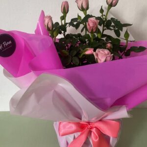 Vaso de mini rosas rosa