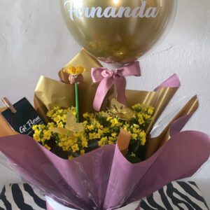 Box kalanchoe amarelo