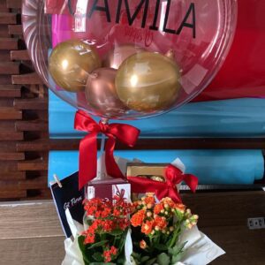 Box kalanchoe vermelho