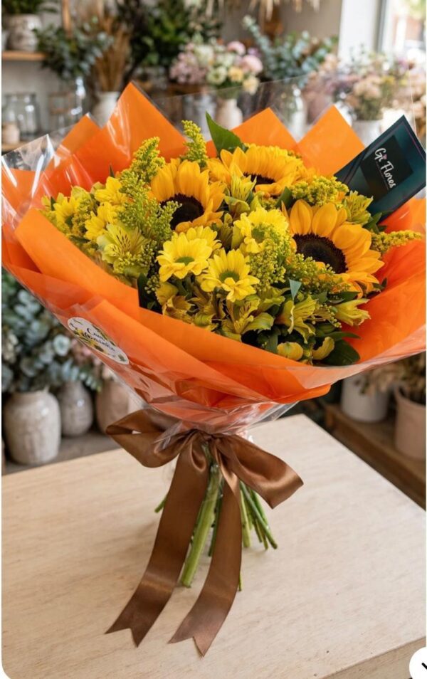 WhatsApp Image 2026-09-21 at 11.34.08